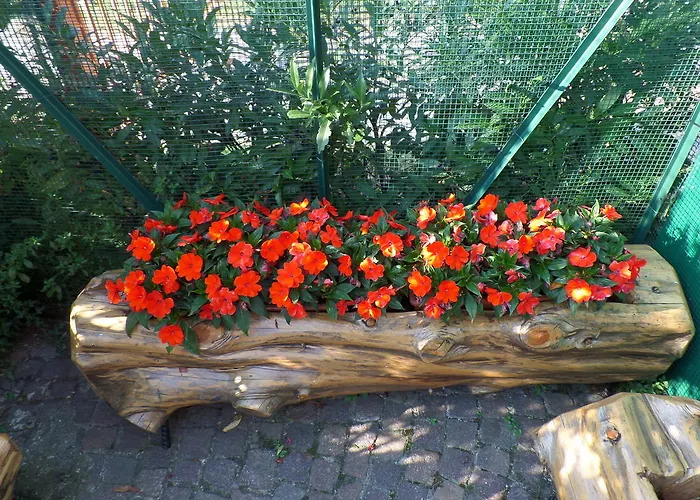 Partenza Funivia Frühstückspension 3*